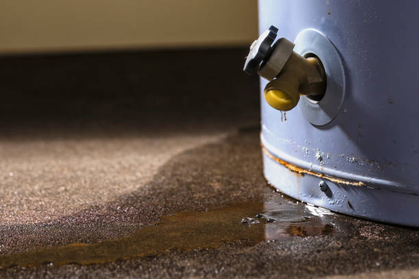 Best Commercial water damage restoration  in Lake Delton, WI