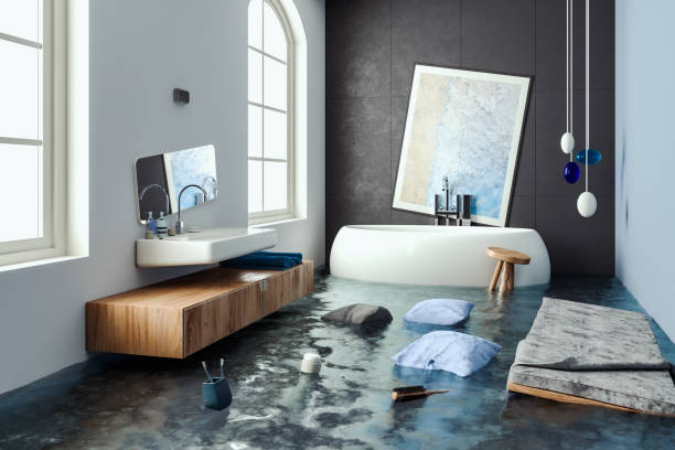 Best Flood restoration services  in Lake Delton, WI