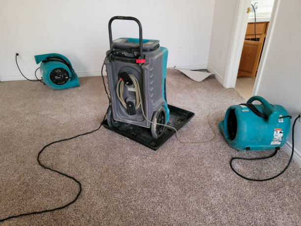 Best Flood restoration services  in Lake Delton, WI