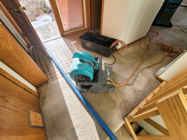 Best Flood restoration services  in Lake Delton, WI
