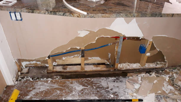 Best Professional water damage repair  in Lake Delton, WI