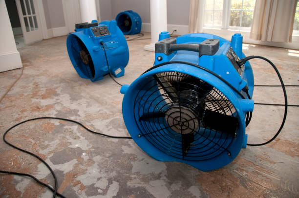 Best Flood restoration services  in Lake Delton, WI