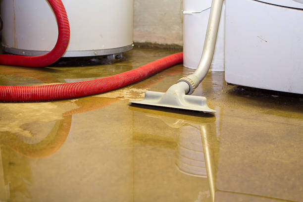 Best Flood damage cleanup  in Lake Delton, WI