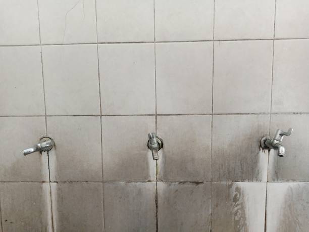 Best Professional water damage repair  in Lake Delton, WI