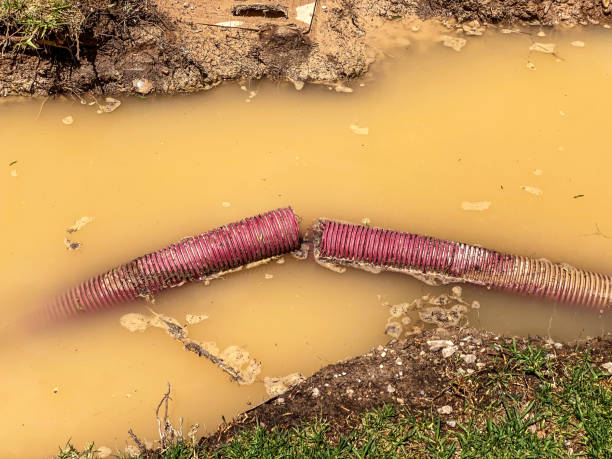 Best Water damage contractors near me  in Lake Delton, WI
