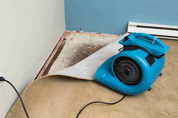 Best Water damage restoration near me  in Lake Delton, WI